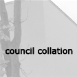 local government consultation